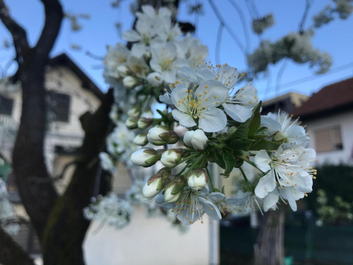 Apartman Katarina Ζάγκρεμπ Εξωτερικό φωτογραφία