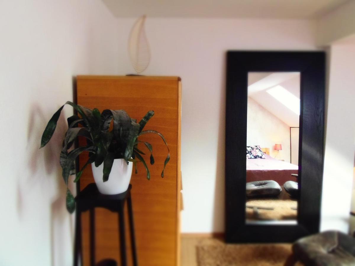 Apartman Katarina Ζάγκρεμπ Εξωτερικό φωτογραφία