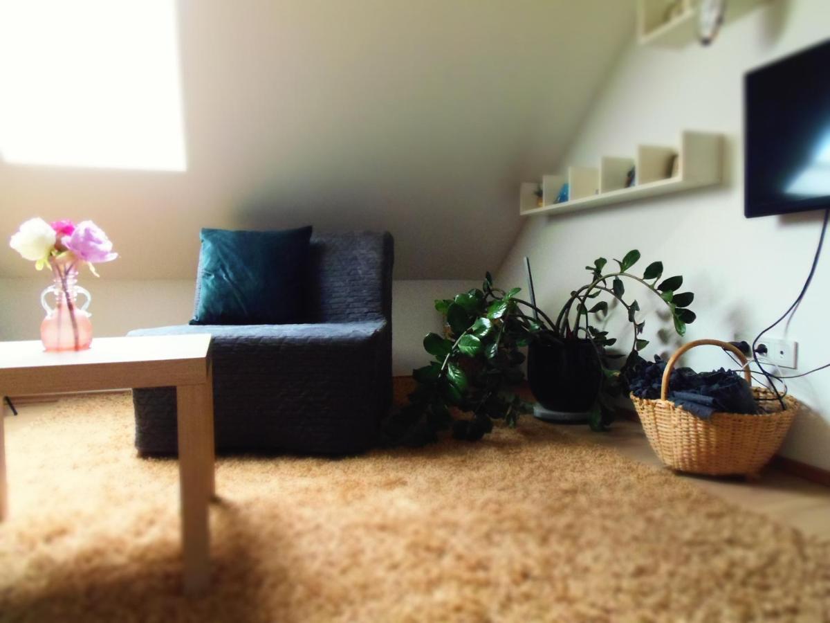 Apartman Katarina Ζάγκρεμπ Εξωτερικό φωτογραφία